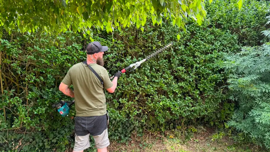 Garden Maintenance