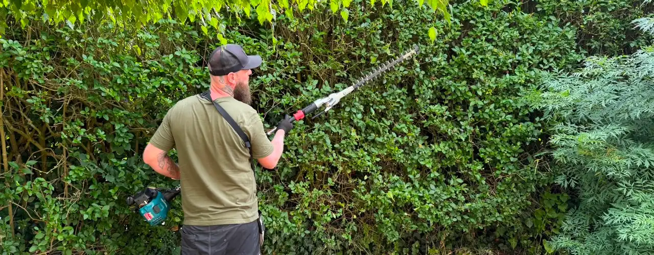Garden Maintenance