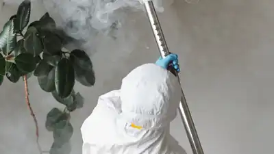 Pest Control