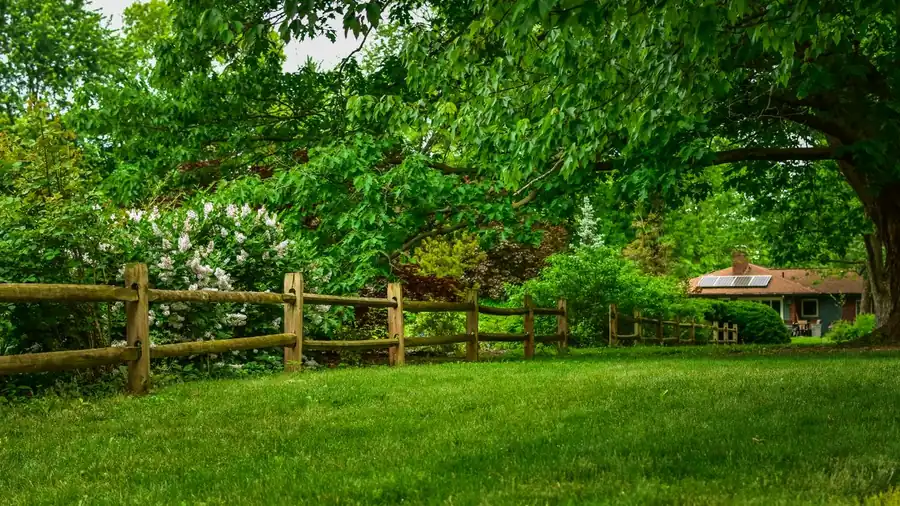 Fencing